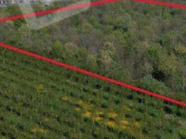 foto principale del terreno