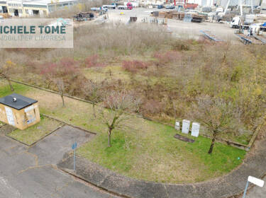 foto principale del terreno