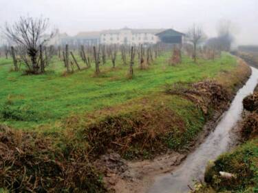 foto principale del terreno