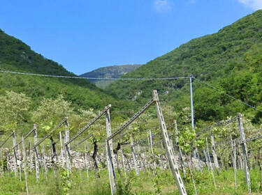 foto principale del terreno