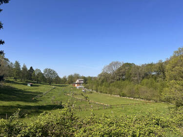 foto principale del terreno