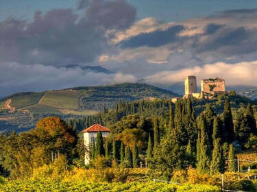 foto principale del terreno