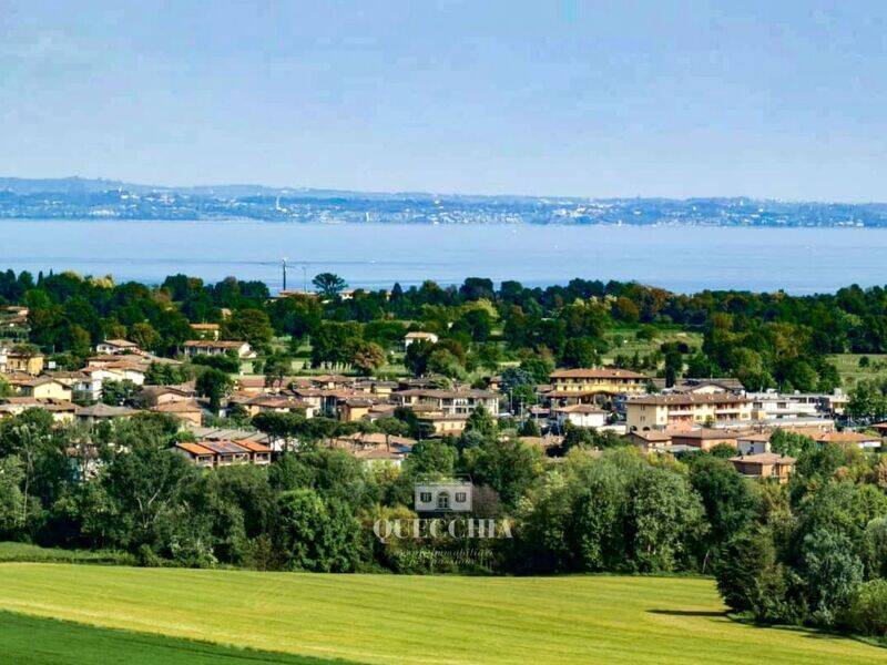 foto principale del terreno