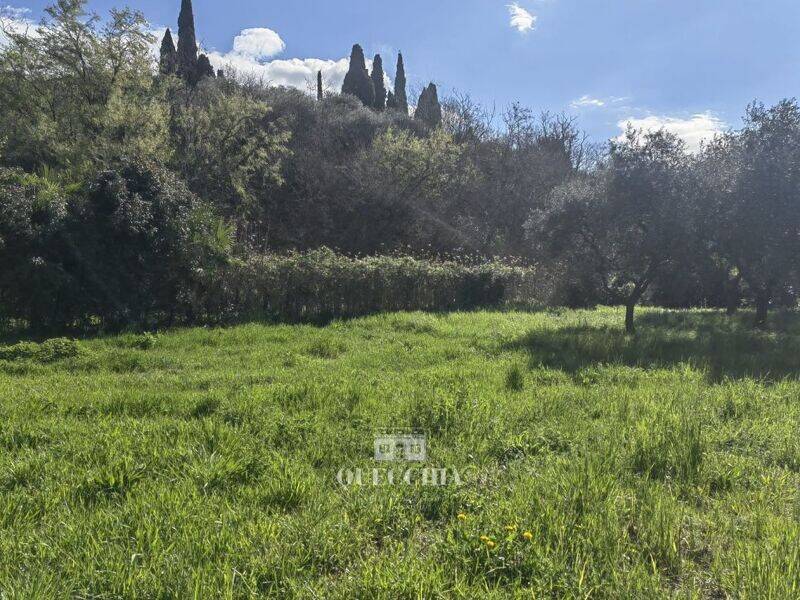 foto principale del terreno