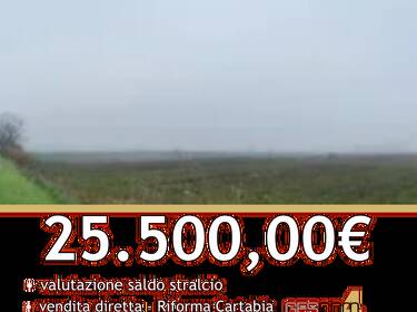 foto principale del terreno