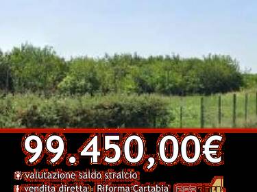 foto principale del terreno
