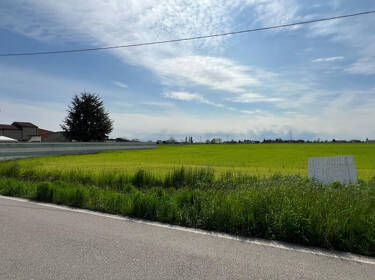 foto principale del terreno