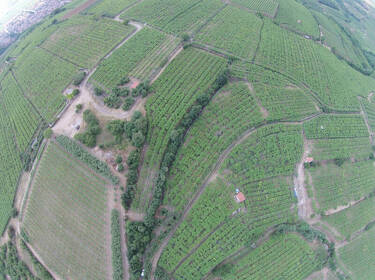 foto principale del terreno