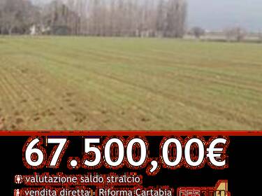 foto principale del terreno