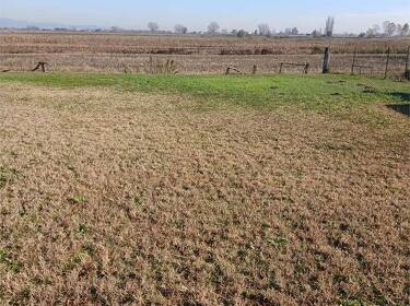 foto principale del terreno