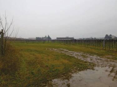 foto principale del terreno