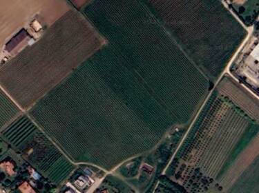 foto principale del terreno