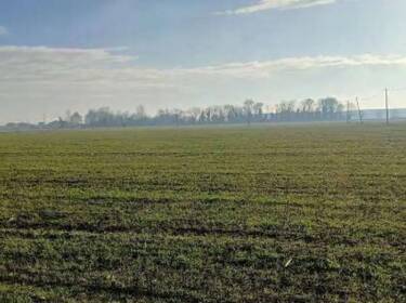 foto principale del terreno