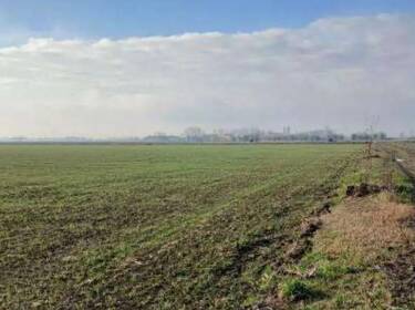 foto principale del terreno