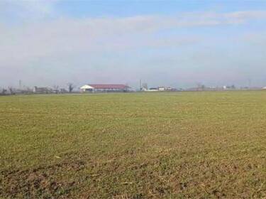 foto principale del terreno