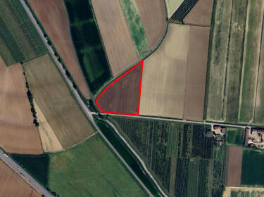 foto principale del terreno