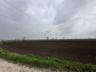 foto principale del terreno