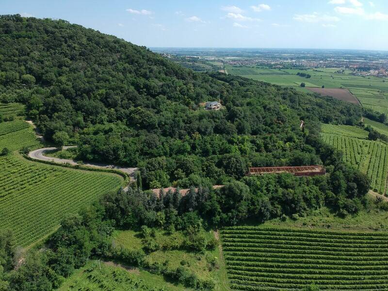 foto principale del terreno