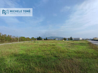 foto principale del terreno