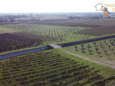 foto principale del terreno