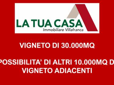 foto principale del terreno