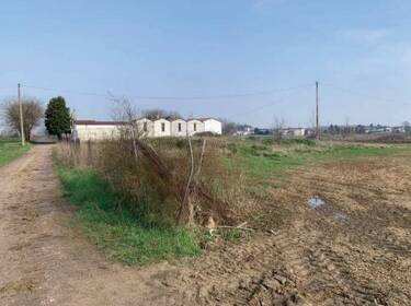foto principale del terreno
