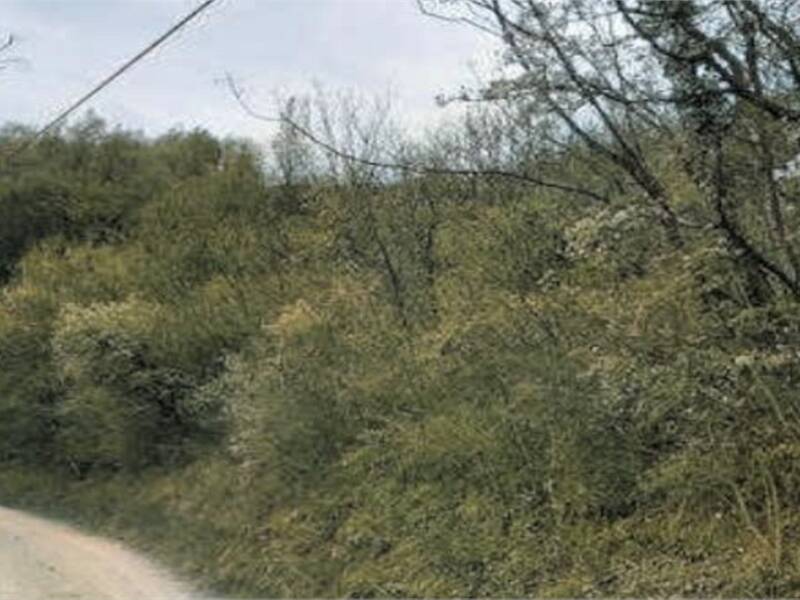 foto principale del terreno