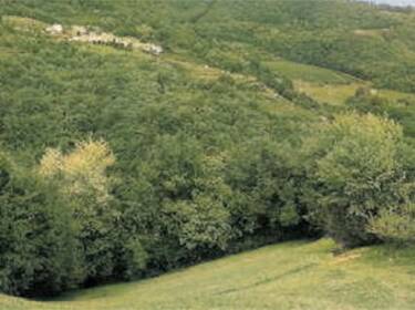 foto principale del terreno