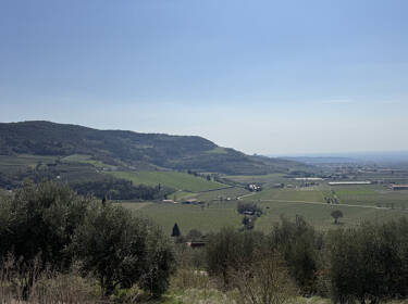 foto principale del terreno