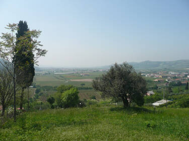 foto principale del terreno