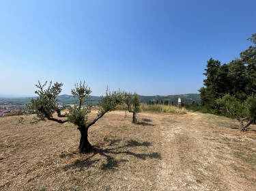 foto principale del terreno