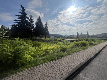 foto principale del terreno