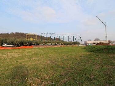 foto principale del terreno