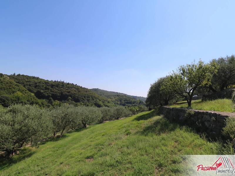 foto principale del terreno