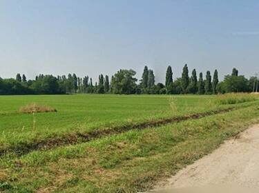 foto principale del terreno