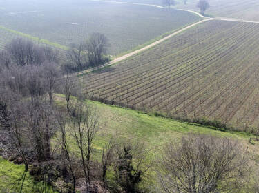 foto principale del terreno