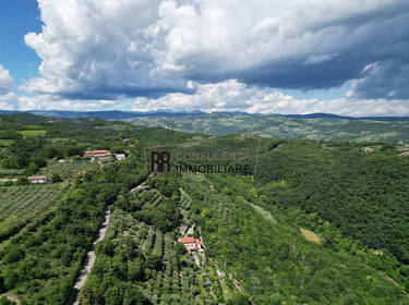 foto principale del terreno