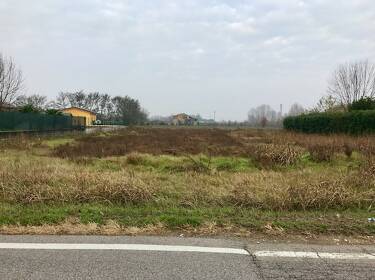 foto principale del terreno