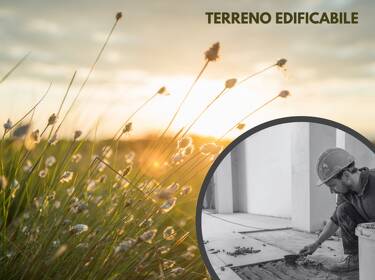 foto principale del terreno