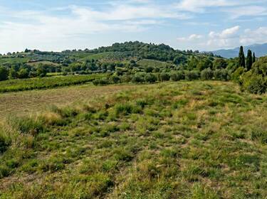 foto principale del terreno
