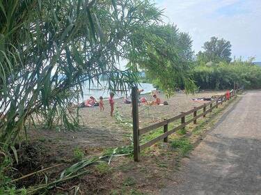 foto principale del terreno