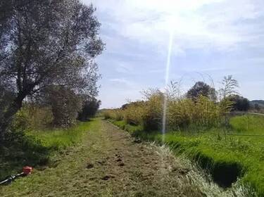 terreno