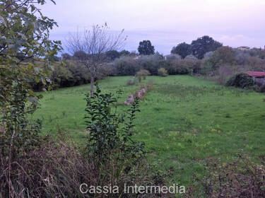 foto principale del terreno