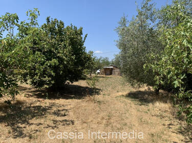 foto principale del terreno