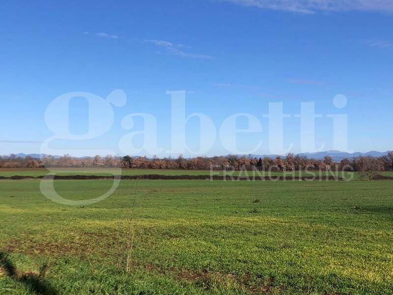 foto principale del terreno
