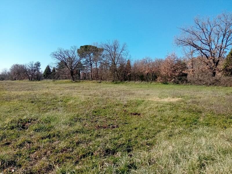 foto principale del terreno