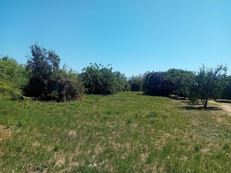 foto principale del terreno