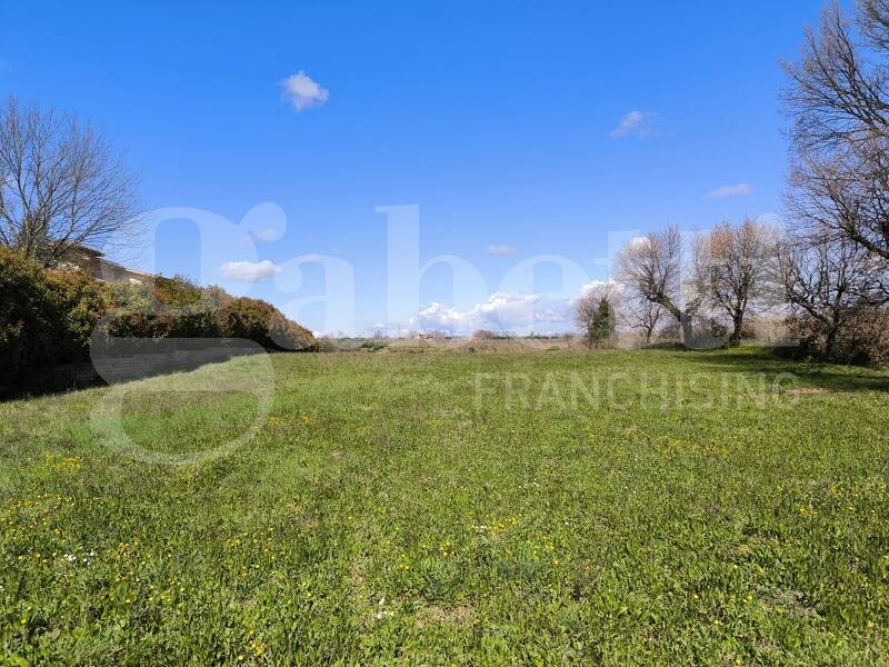 foto principale del terreno