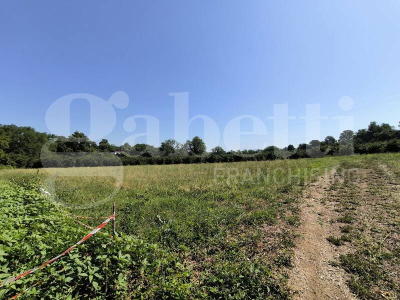 foto principale del terreno