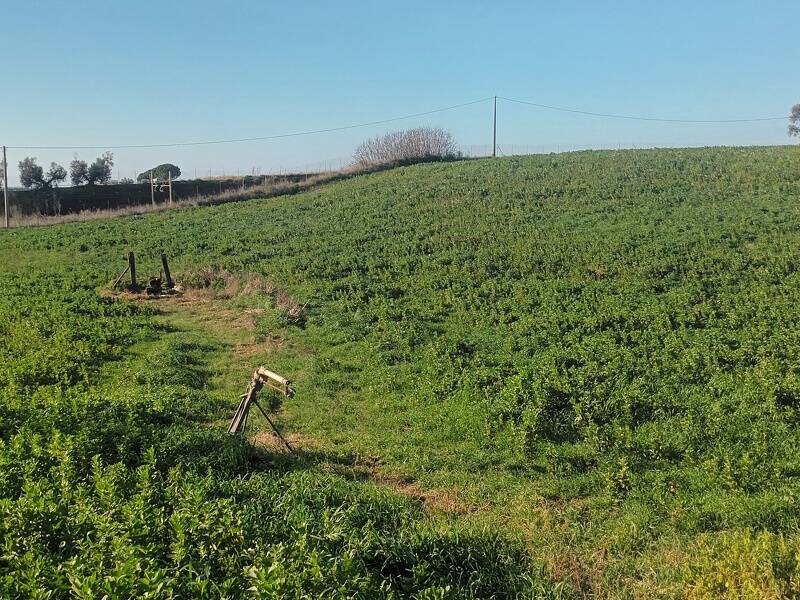 foto principale del terreno